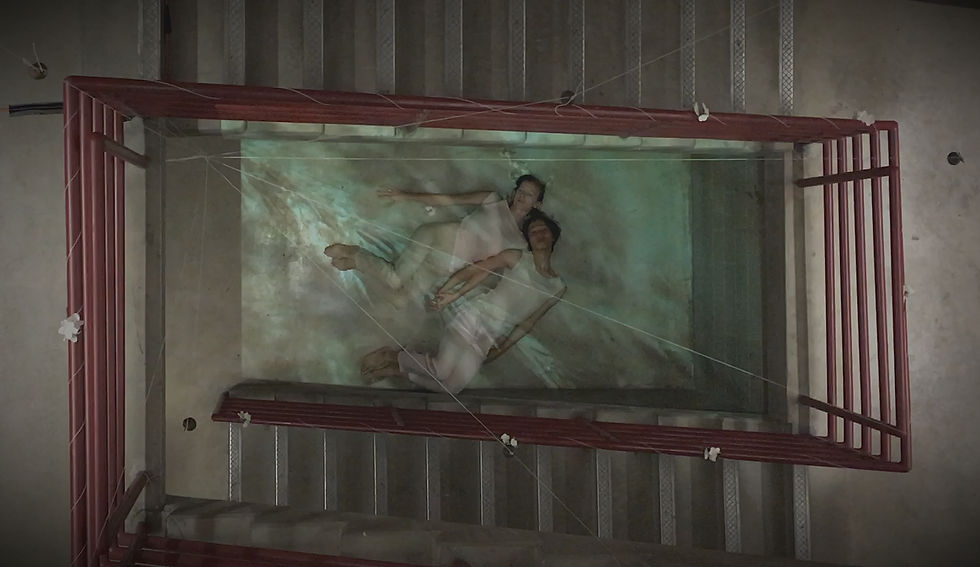 Nichele Van Portfleet & Chang Liu (Leo)