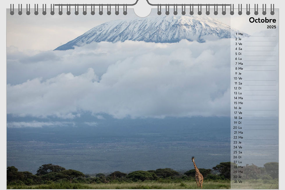 Thumbnail: Calendrier 2025 : Ma belle Afrique