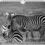 Thumbnail: Calendrier 2025 : Souvenirs d'Afrique