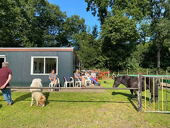 Onze kantine met gezellig terras in de zon. Ook de pony's genieten na de les.