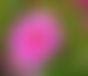 修行生活筆記(096)