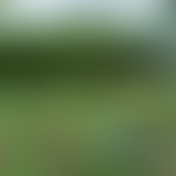 修行心得隨筆(八)