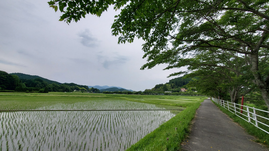 2566.07.18開示法語