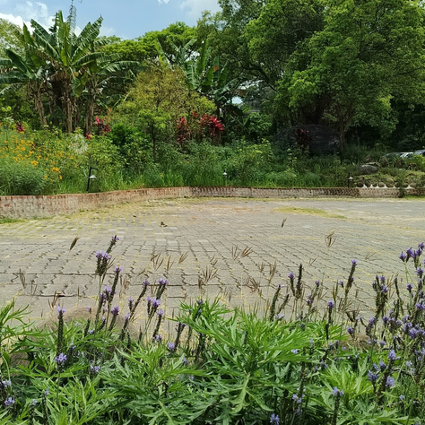 修行心得隨筆(九)