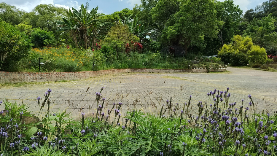 修行心得隨筆(九)