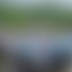 【25690727五色鳥青年團-戶外學習課程】