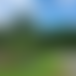 【法性寶林附設臺南市詠善社會服務協會 關懷弱勢吳○○案生活補助費】