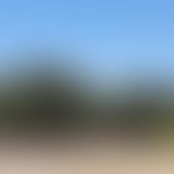 【將佛法在世間實踐，讓莘莘學子受益，贊助鹿谷國小校務經費】