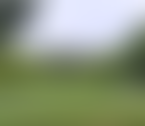 修行心得隨筆(十九)