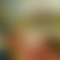 五色鳥青年團信願感恩～2569年成果發表〔宗瑜學友心得分享〕