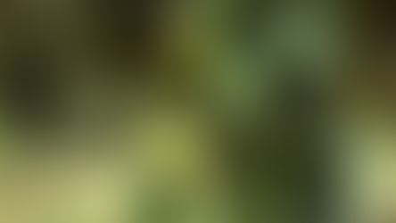 修行心得隨筆(十一)