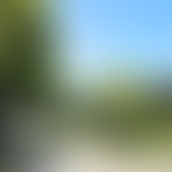 【法性寶林附設臺南市詠善社會服務協會關懷弱勢 補助照興里顧○○君母親喪葬費】