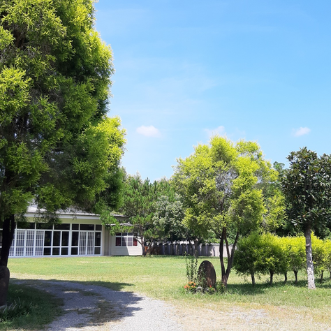 【法性寶林附設臺南市詠善社會服務協會關懷弱勢 補助照興里顧○○君母親喪葬費】