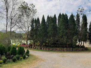 修行心得隨筆(十五)