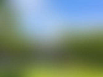 【佛法在世間實踐，讓莘莘學子受益～贊助信義鄉希娜巴嵐國小校務經費】