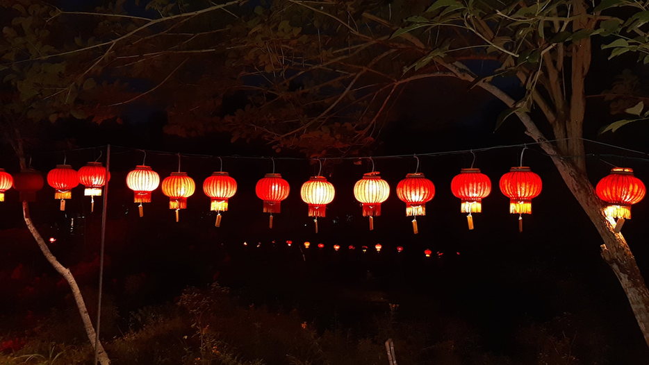 照顧身口意三業