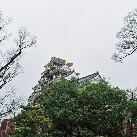 《法性寶林日本福慧之旅》第二梯次11
