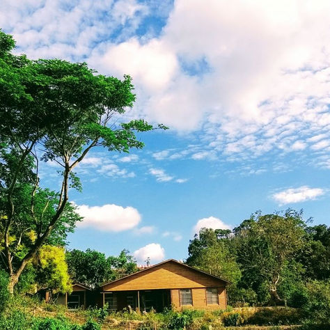 圓幻法師-看見心安快樂