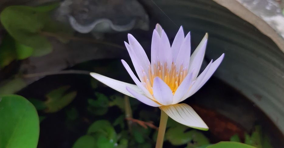 答案在自己身上，不用外求