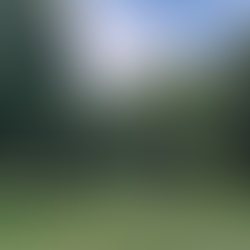 【法性寶林附設臺南市詠善社會服務協會關懷弱勢 補助東勢里向○○君喪葬費】