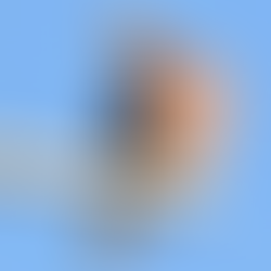 《紅鳩的相應世界》