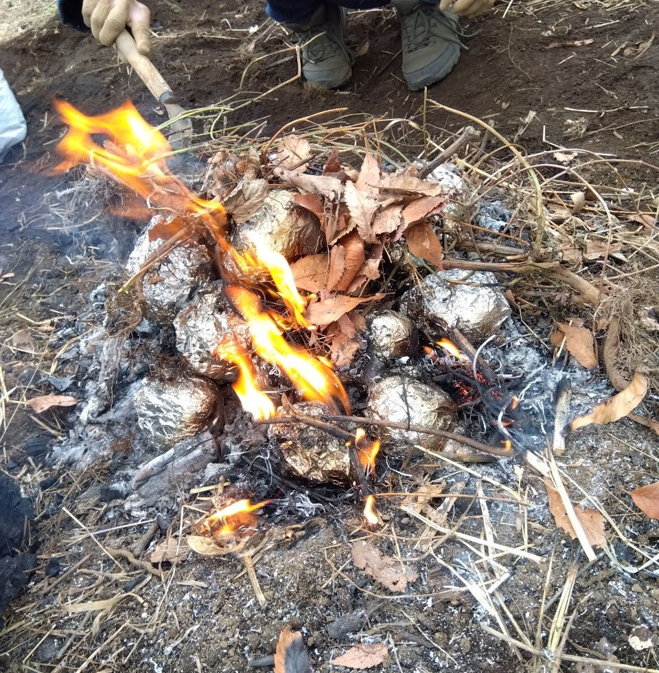 1/7 焼きじゃがいも