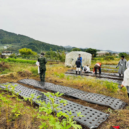 10月8日 葉物野菜の畝作り