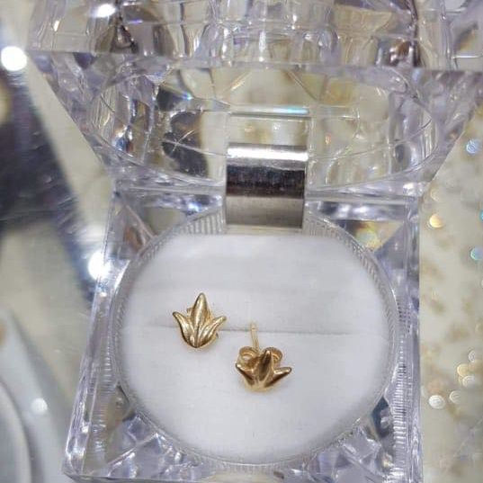 Gold Earrings (1.1 grams)