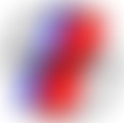 USCG Lands at Museum