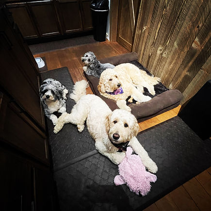The Greeting Committee