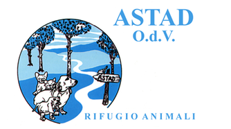 Ricerchiamo personale all'Astad!