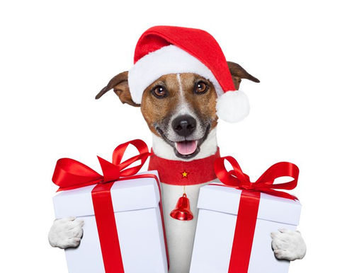 Regali di Natale in anticipo all'Astad, Grazie alla Disugual!