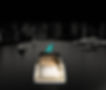 Avikus Neauboat Smart Navigation