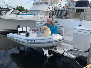 Cruising the Great Loop? Here’s Why a FreedomLift is a Game-Changer for You (and Your Dog)