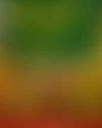 farmrio_1779817238_3905711884986426987_7900577635