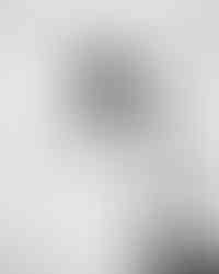 hugstex_1783896018_3939920099007947268_193936966