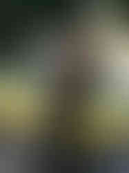 livia_1784639215_3946161696274500668_214124888