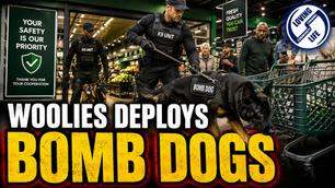 Woolworths K9 Dogs: Private Business Fills the State’s Security Gap