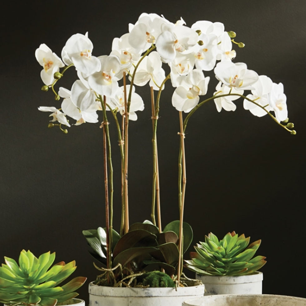 Thumbnail: 25" White Phalaenopsis Orchid Faux Floral Drop In
