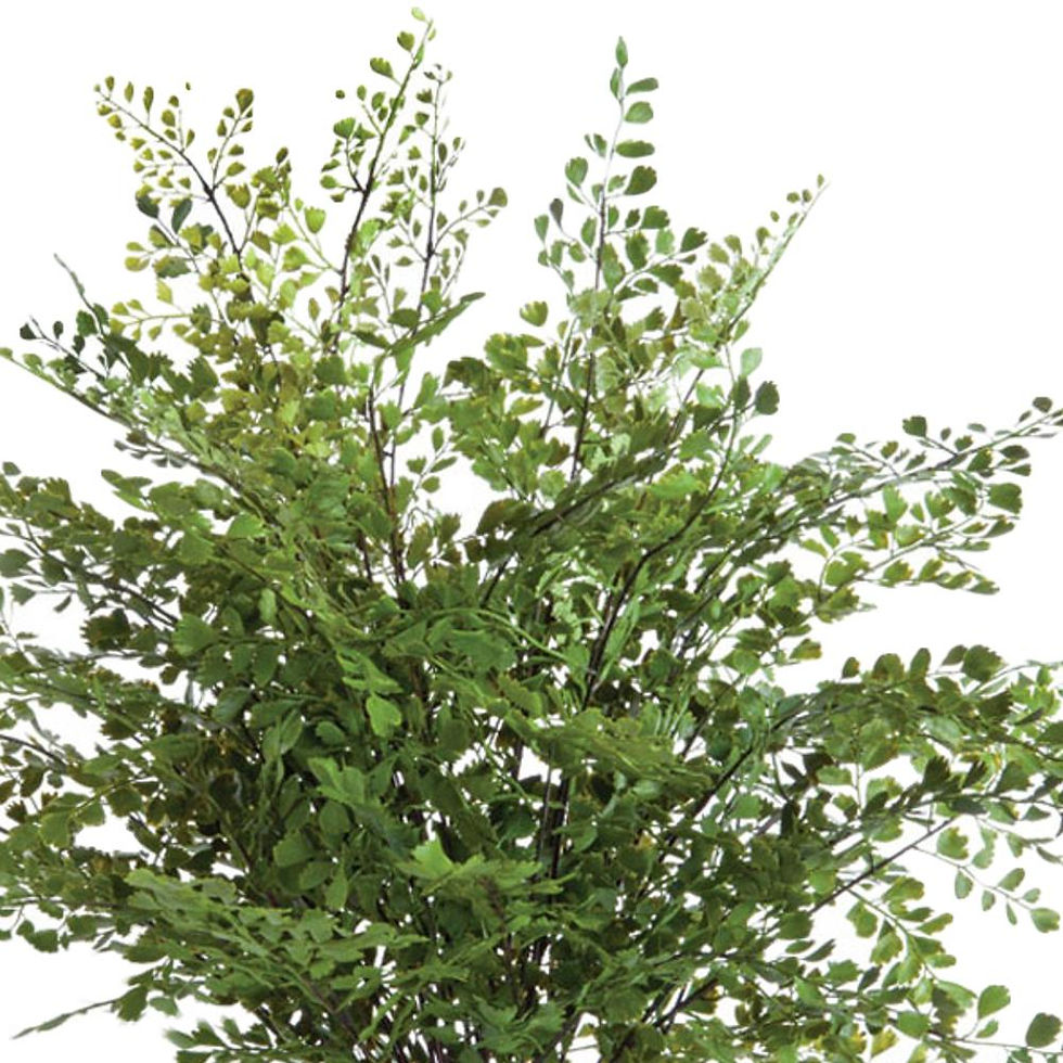Thumbnail: 23" Maidenhair Fern Faux Plant Drop-In