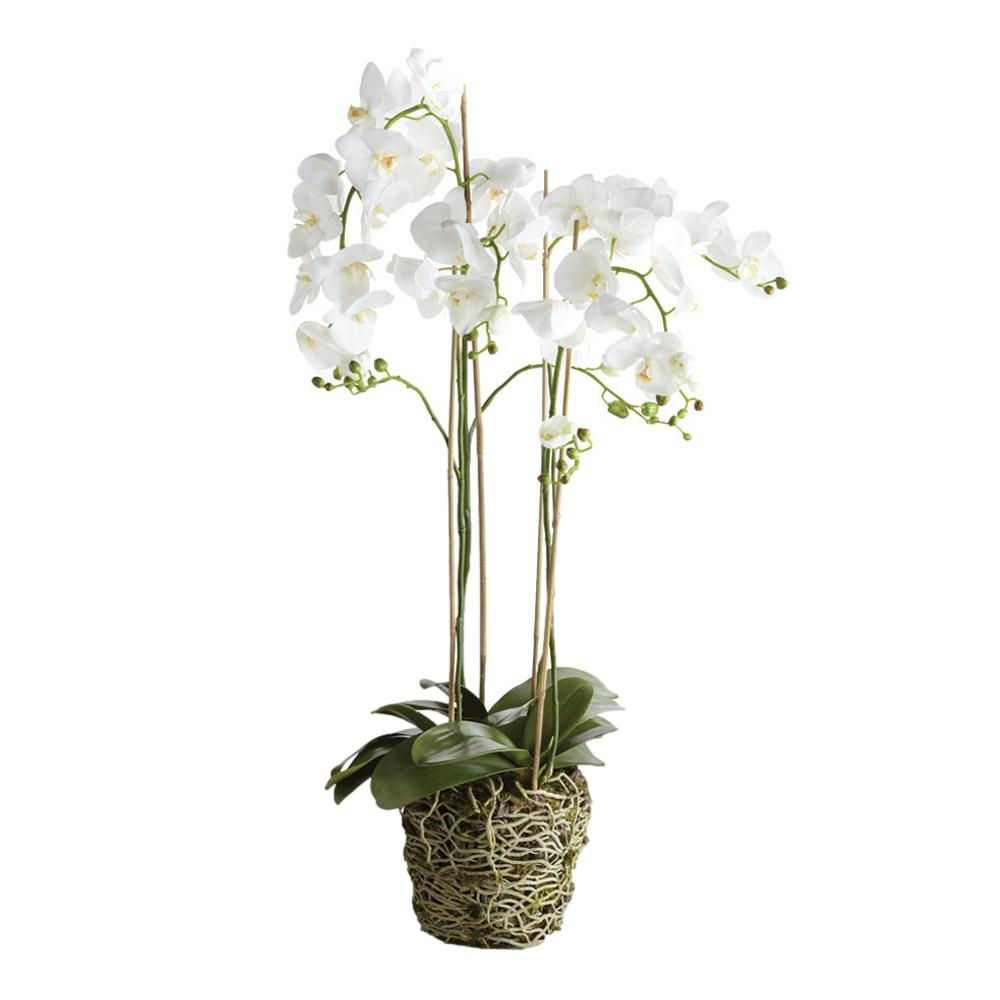 44" White Phalaenopsis Orchid Faux Floral Drop In