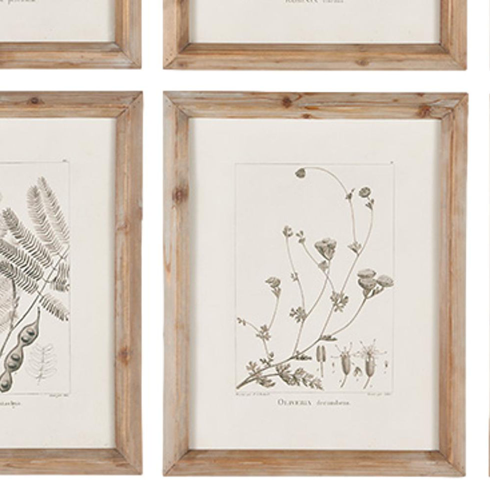 Thumbnail: Nine Sepia Woodland Botanical Prints