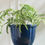 Thumbnail: 29.5" Forest Fern Faux Plant Drop In