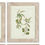Thumbnail: Four Olive Branch Prints