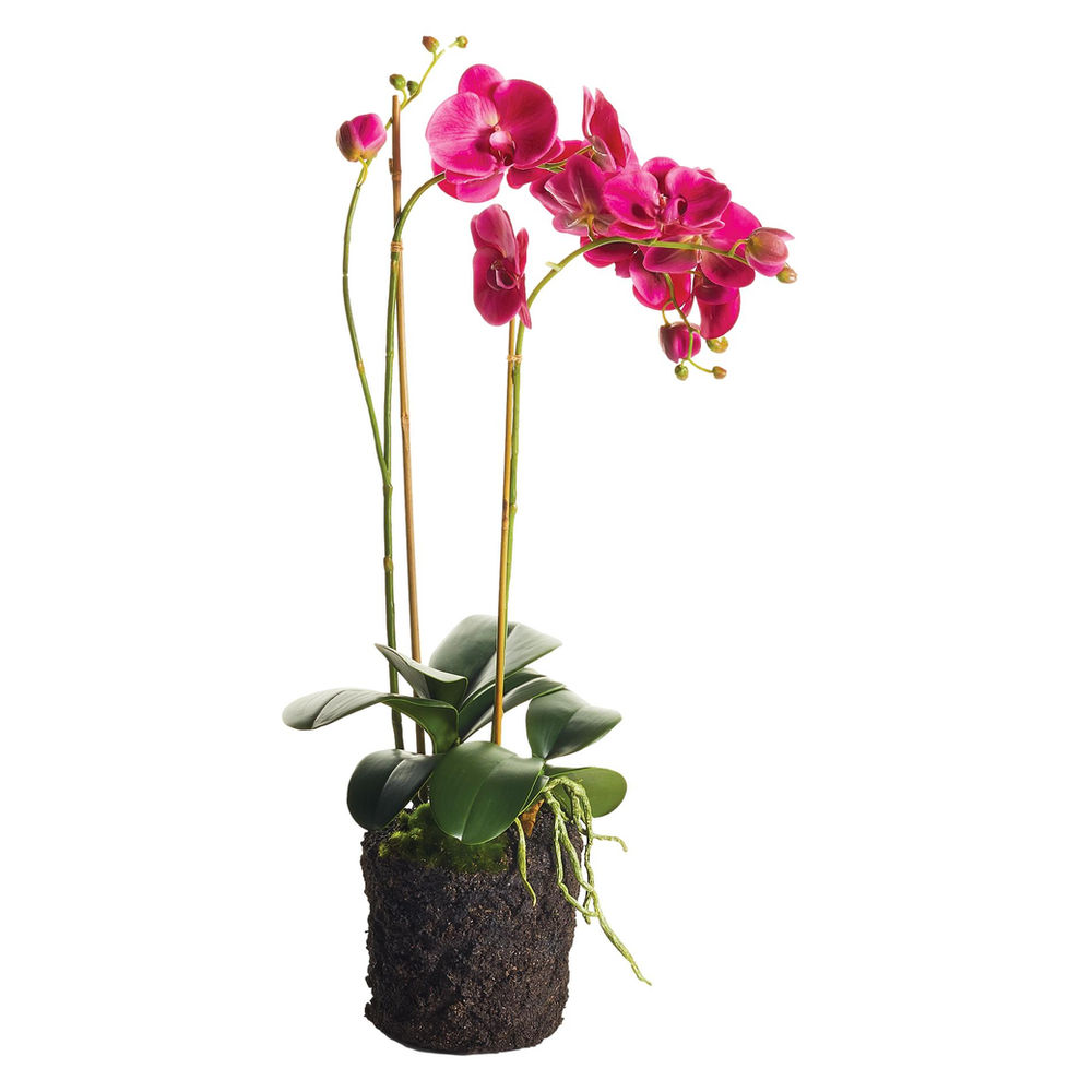 29" Fuchsia Phalaenopsis Orchid Faux Plant Drop-In
