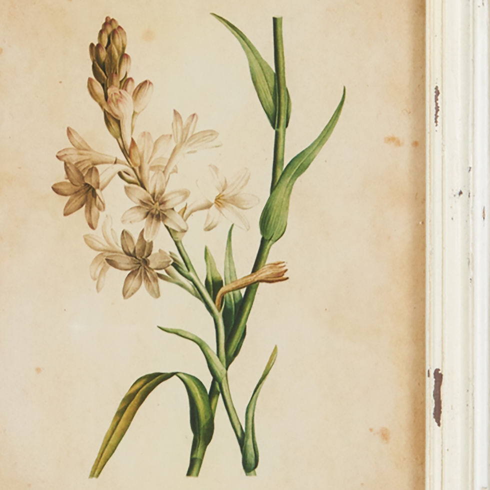 Thumbnail: Twelve Cottage Chic Wildflower Prints
