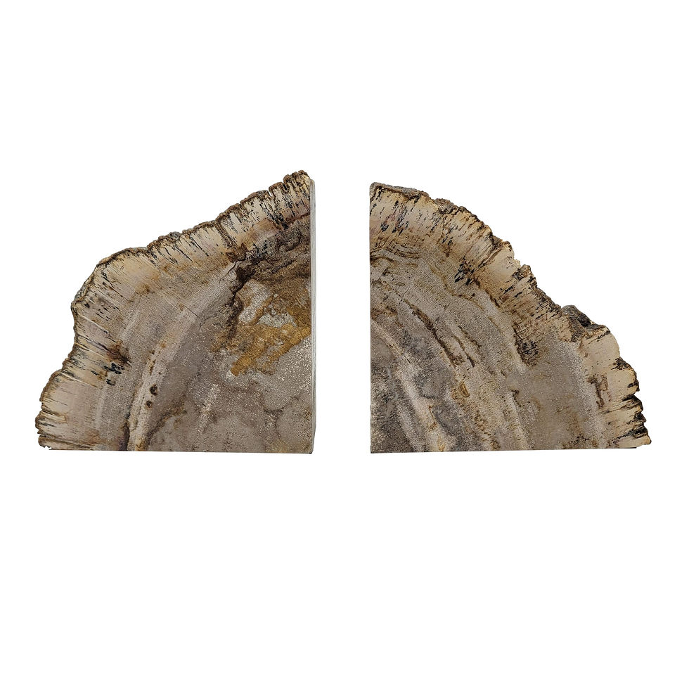Thumbnail: Petrified Wood Bookends