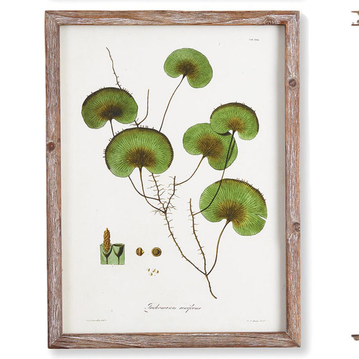 Thumbnail: Six Shade Garden Plant Prints