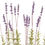 Thumbnail: Faux French Lavender in Pot