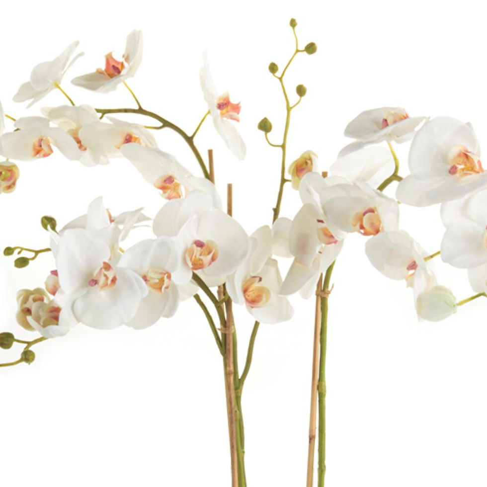 Thumbnail: Double Stem White Phalaenopsis Faux Floral Drop In